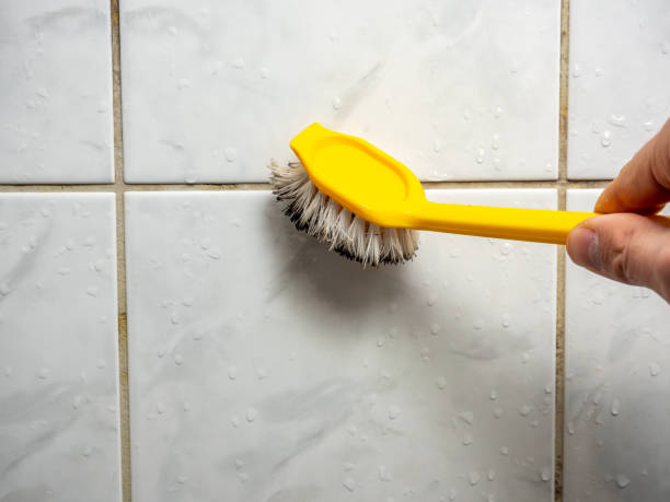 Best Mold Remediation  in Opa Locka, FL